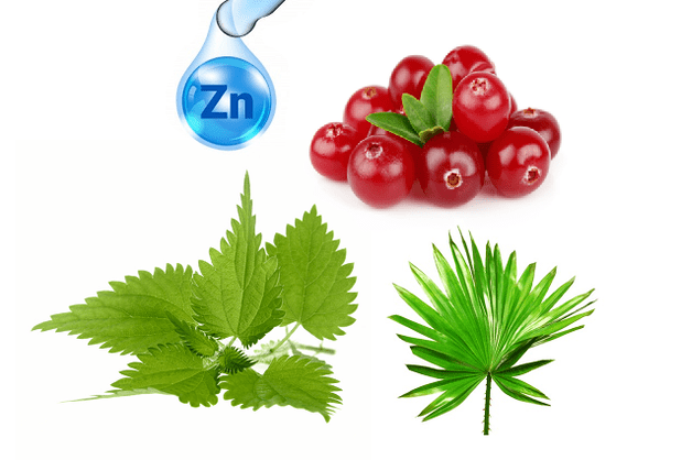 A composición das cápsulas Uromexil Forte