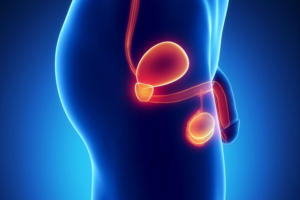 Inflamación da próstata