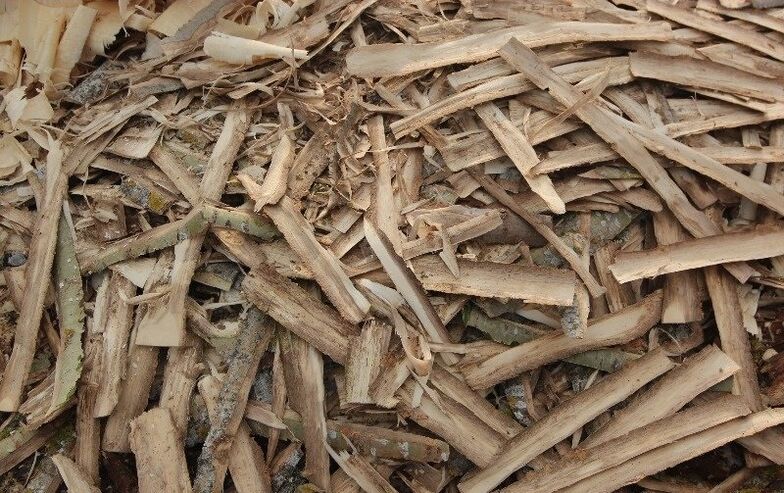 Casca de Aspen para prostatite